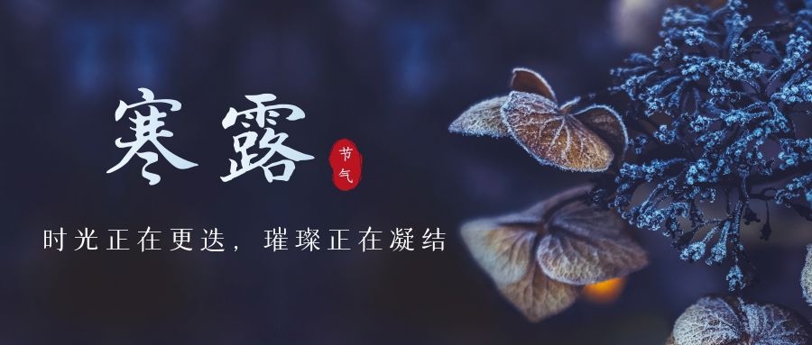 寒露 ▎時(shí)光更迭，璀璨正在凝結(jié)~
