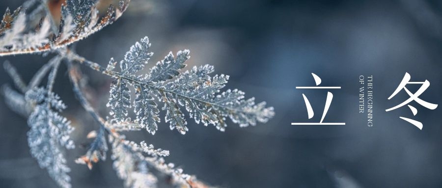 立冬 ▎朔風(fēng)始起，萬(wàn)物境藏