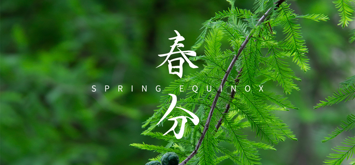 春分 ▎不負(fù)春光，萬物生長(zhǎng)