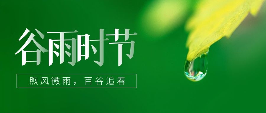 谷雨 ▎雨生百谷，鎖住一抹春色