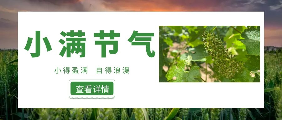 小滿 ▎小得盈滿，自得浪漫~