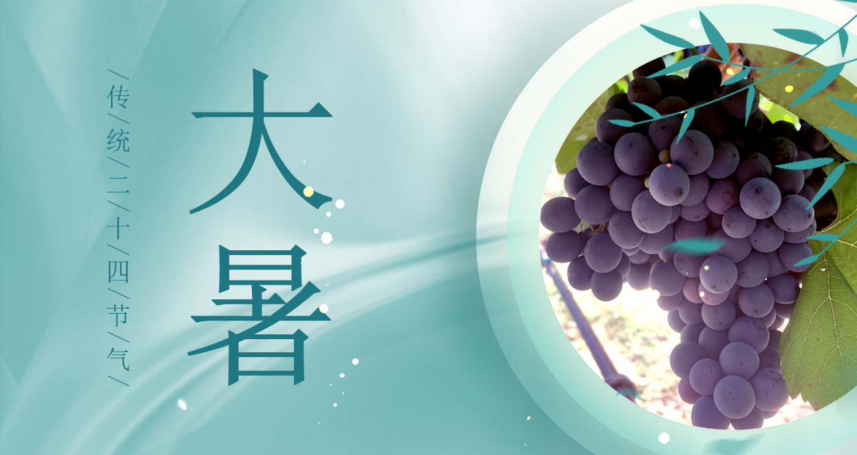 大暑 ▎時夏三伏盛，葡萄綴滿天