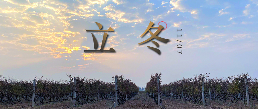 立冬 ▎四時有序，天地歸藏