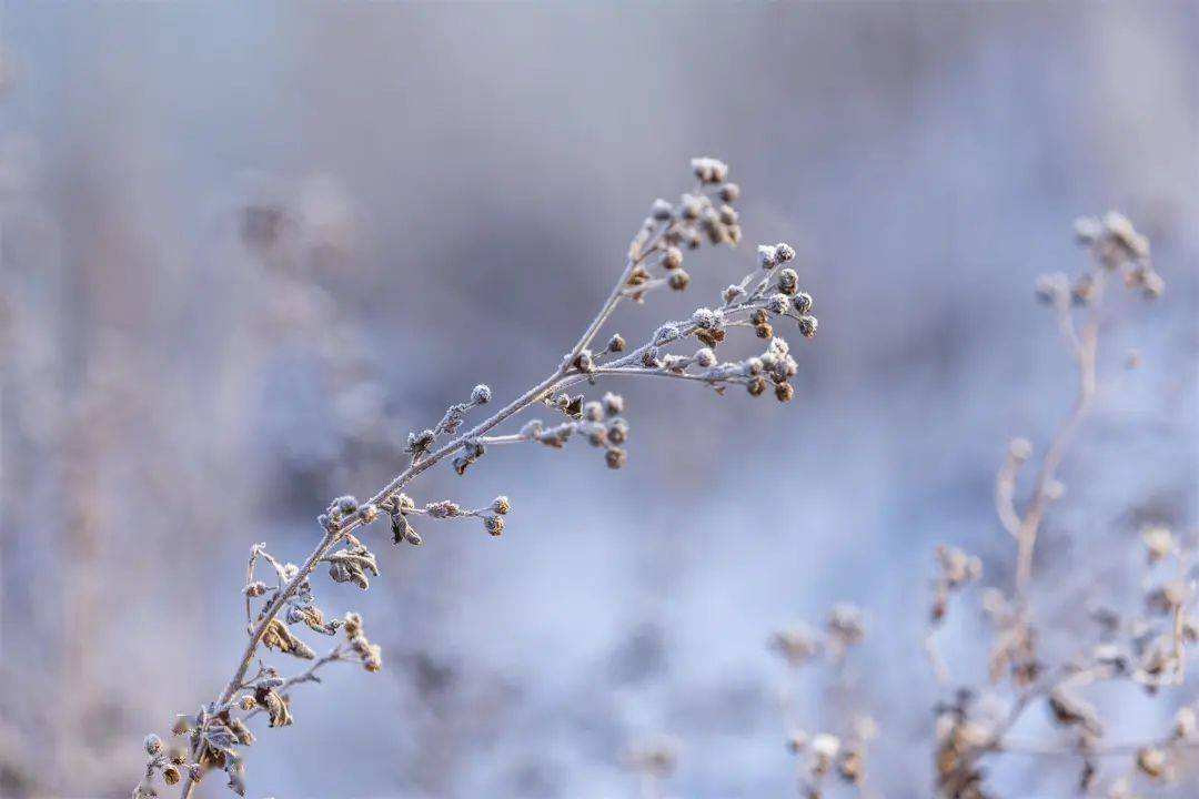小雪 ▎冬藏萬(wàn)物，歲月沉香