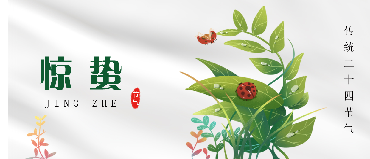 驚蟄 ▎雷鳴春醒，萬物生長