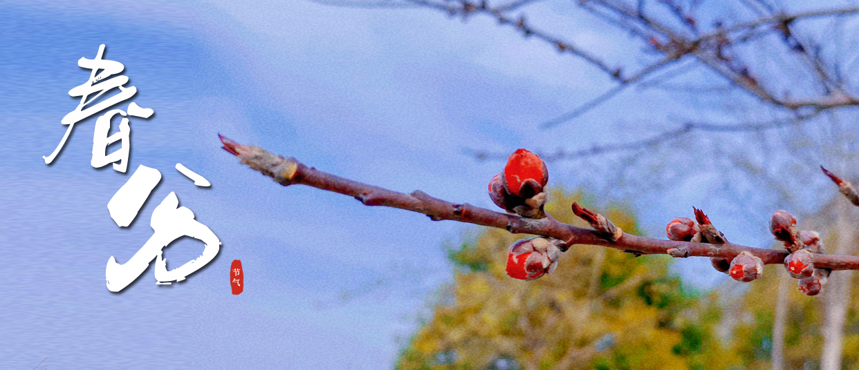 春分 ▎春光滿(mǎn)園，蓬勃生長(zhǎng)